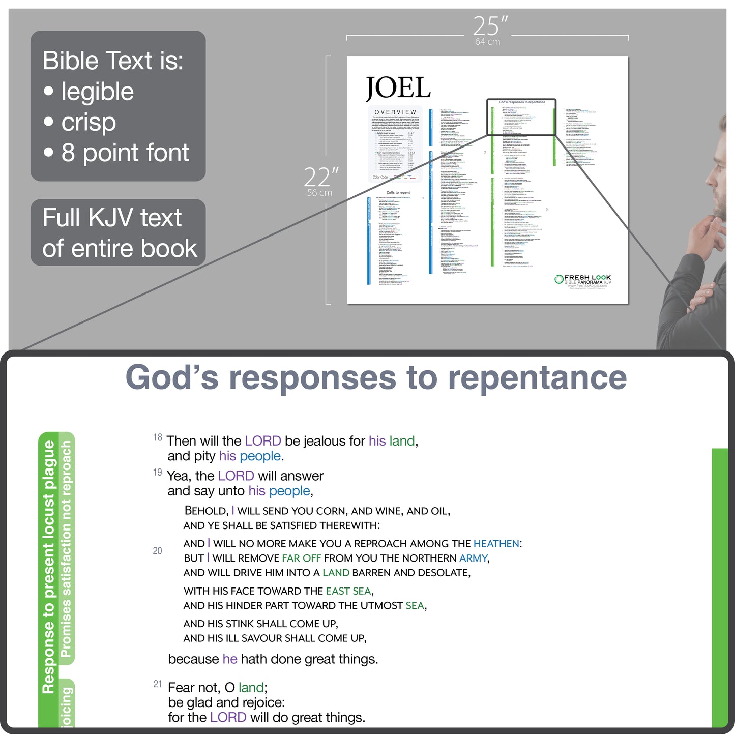 Joel Panorama Laminated