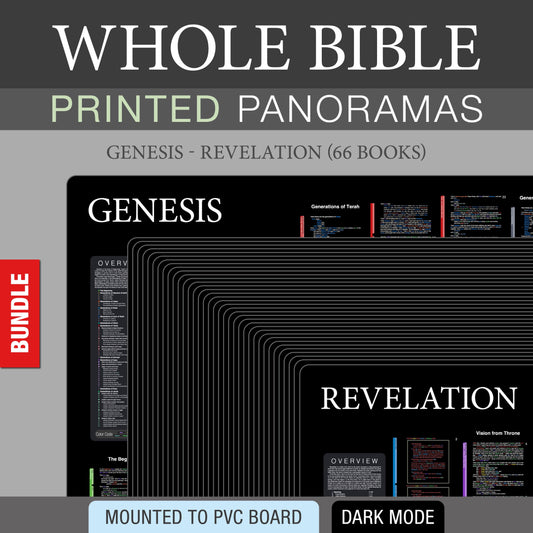 Whole Bible Bundle