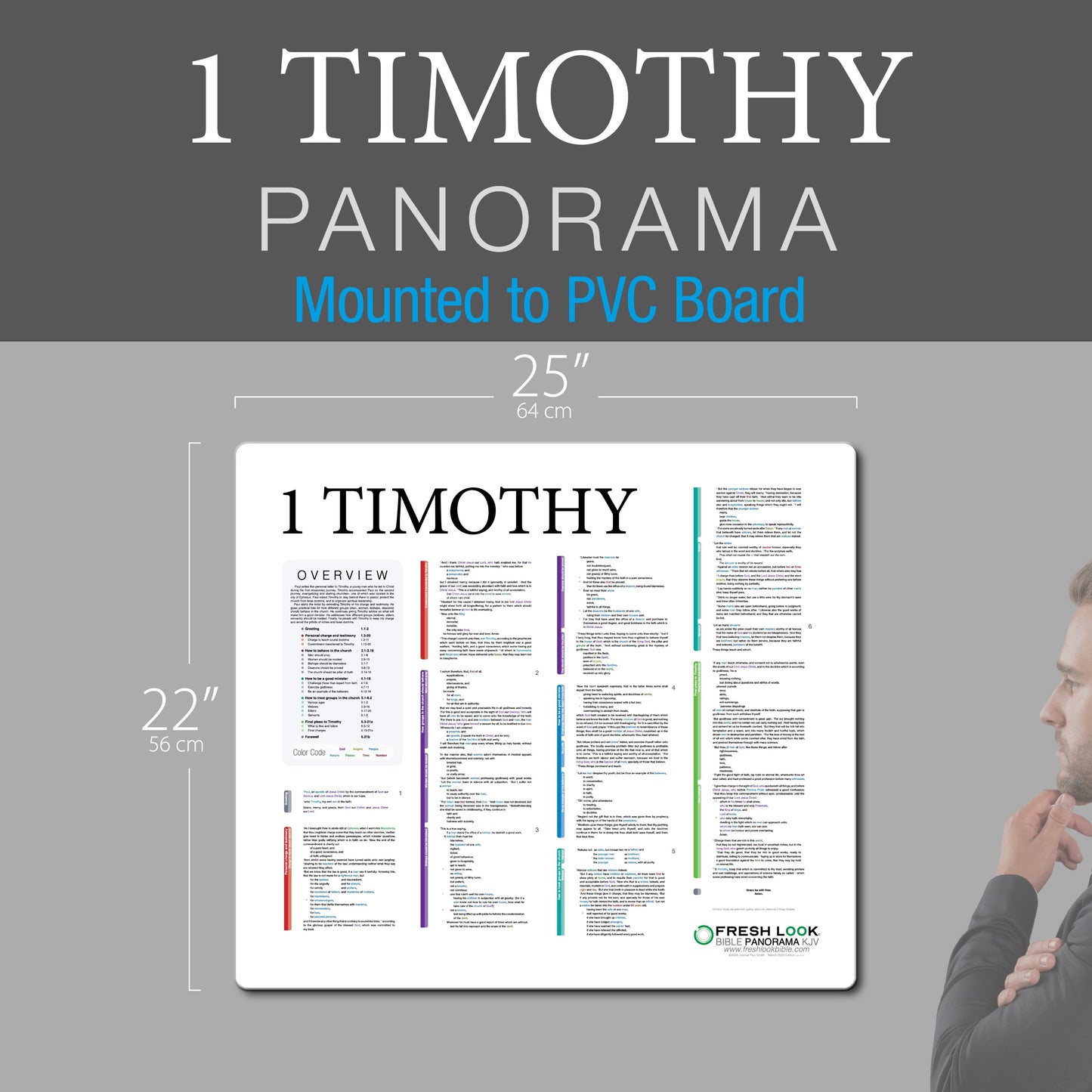 1 Timothy Panorama PVC
