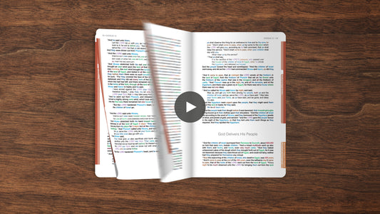 Exodus Book