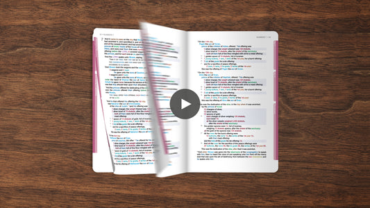 Numbers Book