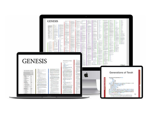 Genesis Panorama PDF