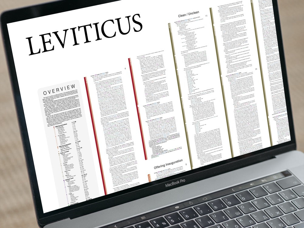 Leviticus Panorama PDF