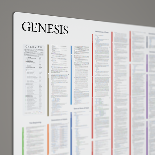 Fresh Look Bible - Genesis Panorama - Light Mode