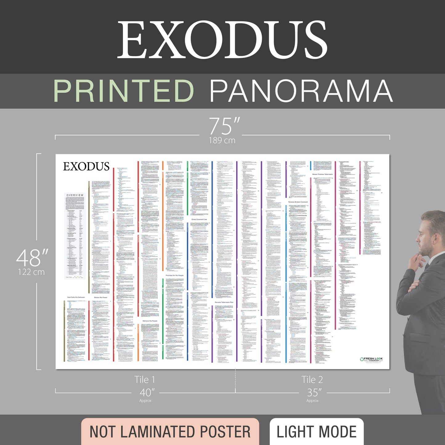 Exodus Panorama Not Laminated