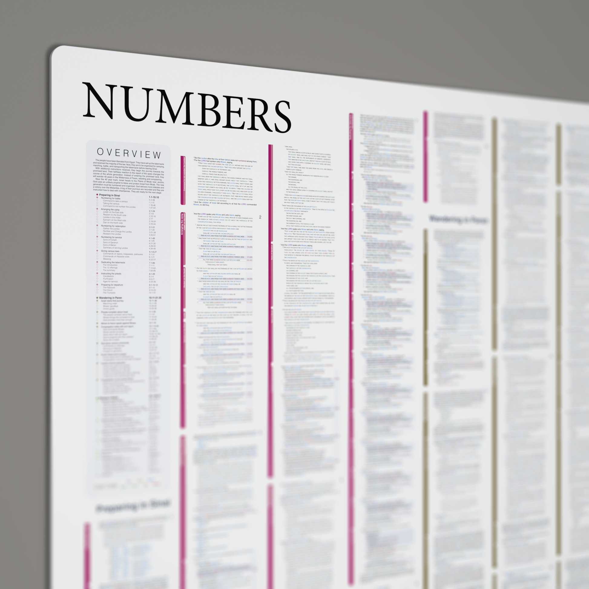Fresh Look Bible - Numbers Panorama - Light Mode