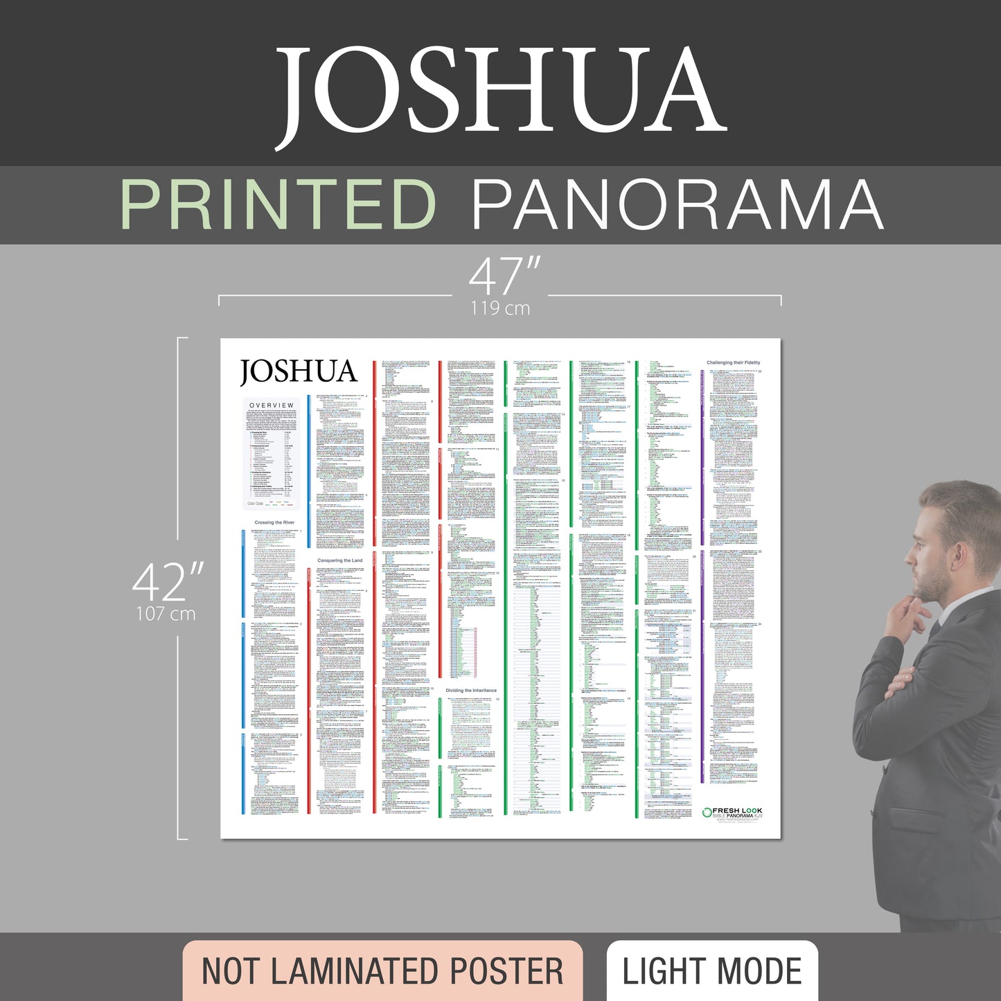 Joshua Panorama Not Laminated