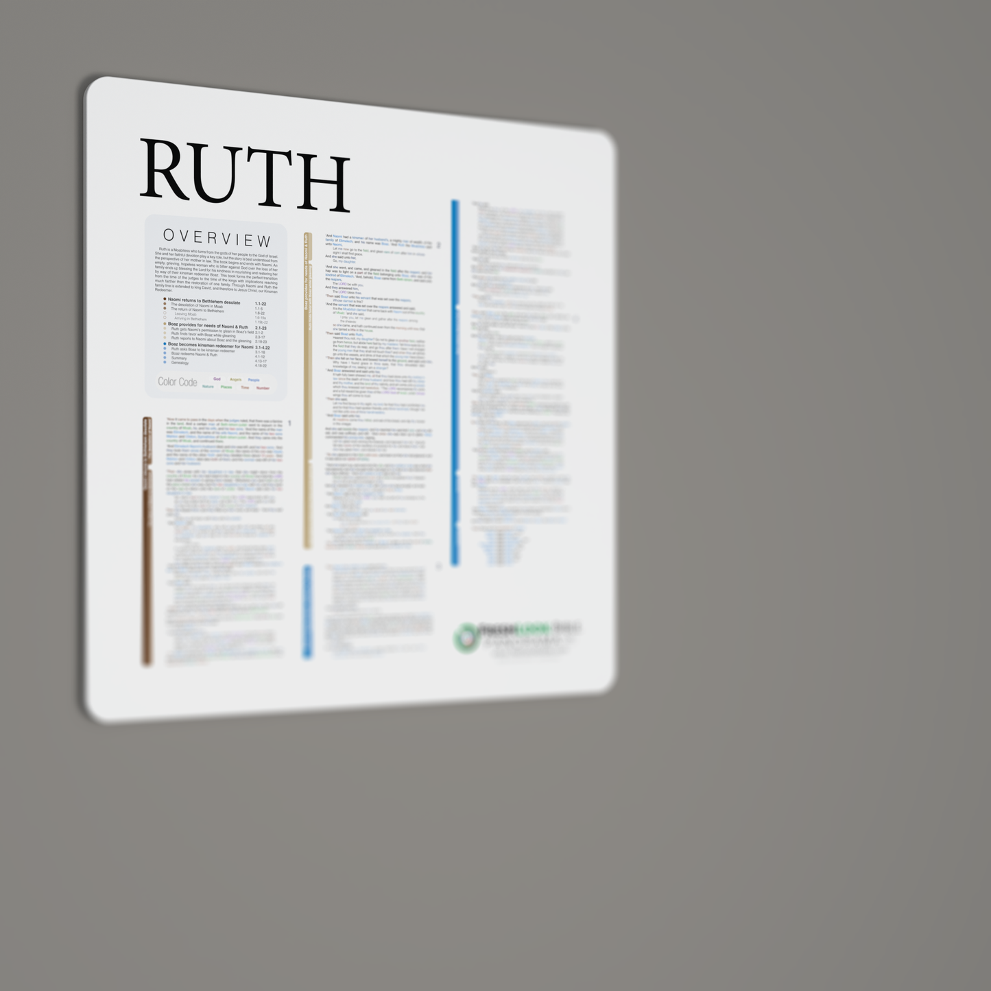 Fresh Look Bible - Ruth Panorama - Light Mode