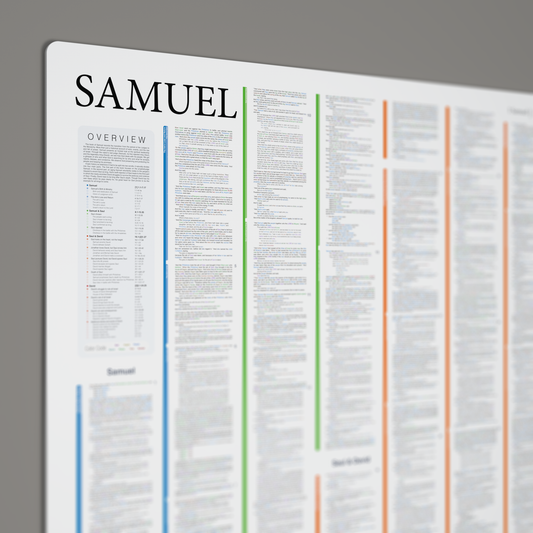 Fresh Look Bible - Samuel Panorama - Light Mode