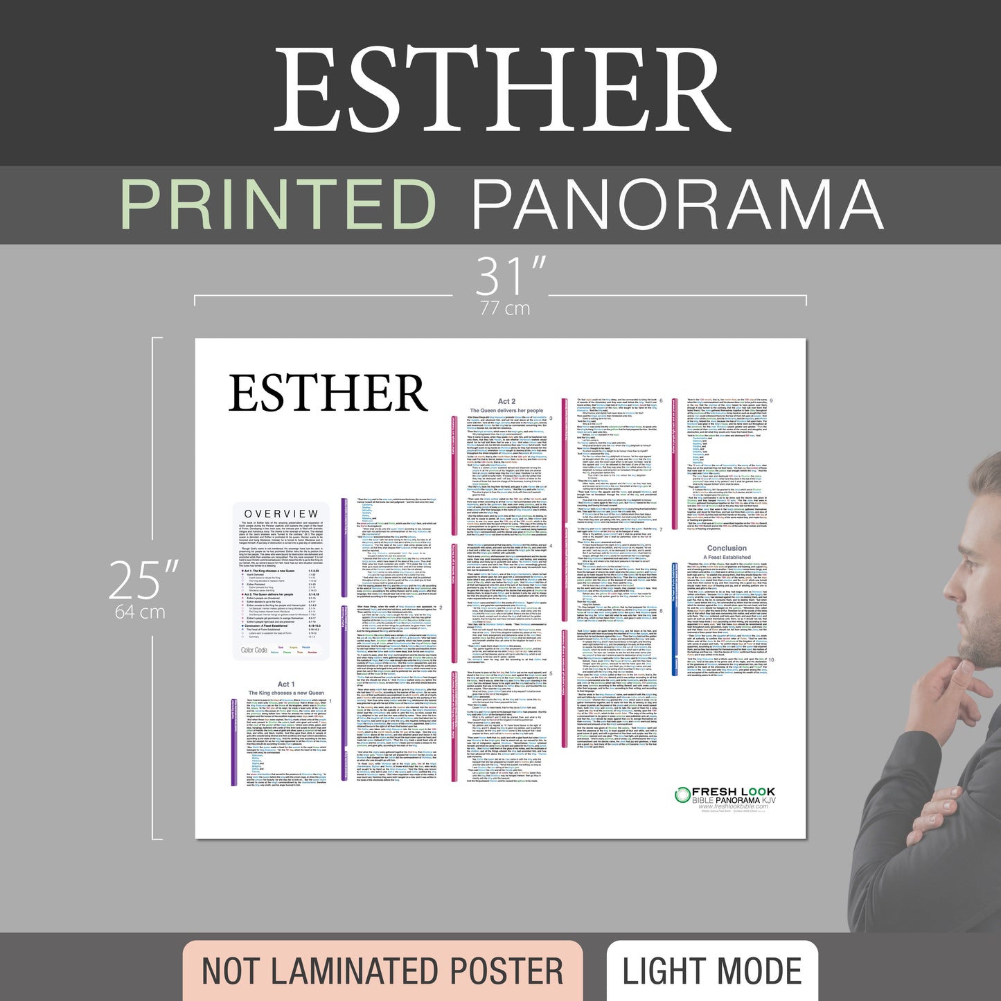 Esther Panorama Not Laminated