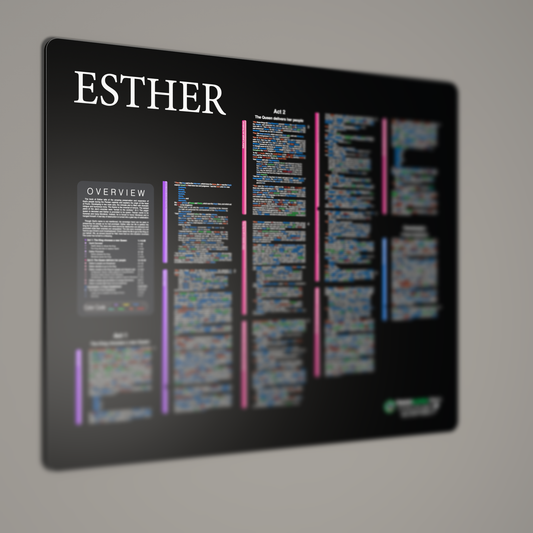 Fresh Look Bible - Esther Panorama - Dark Mode