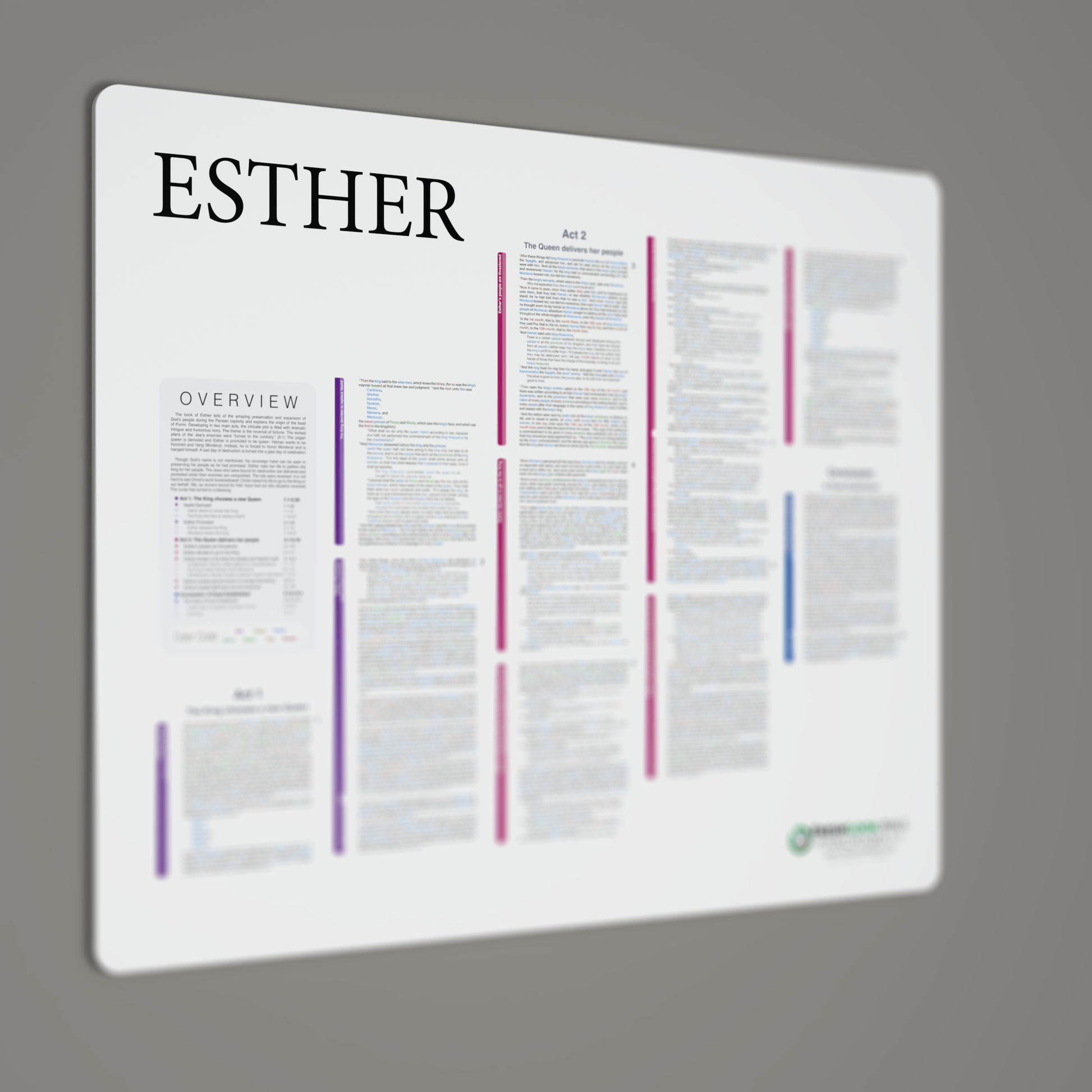 Fresh Look Bible - Esther Panorama - Light Mode