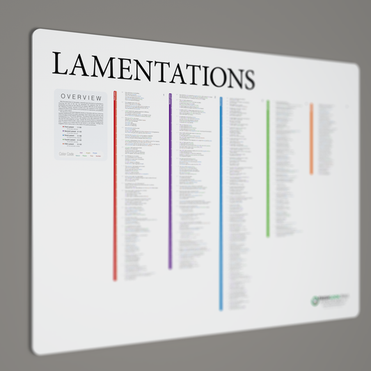 Fresh Look Bible - Lamentations Panorama - Light Mode