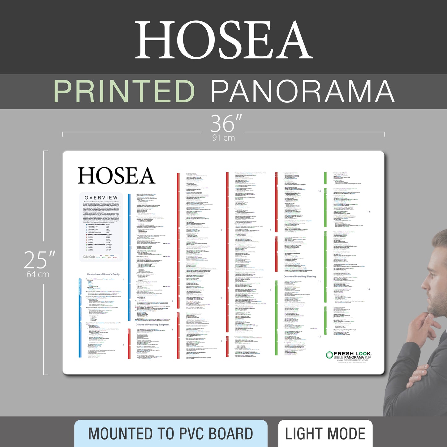 Hosea Panorama PVC