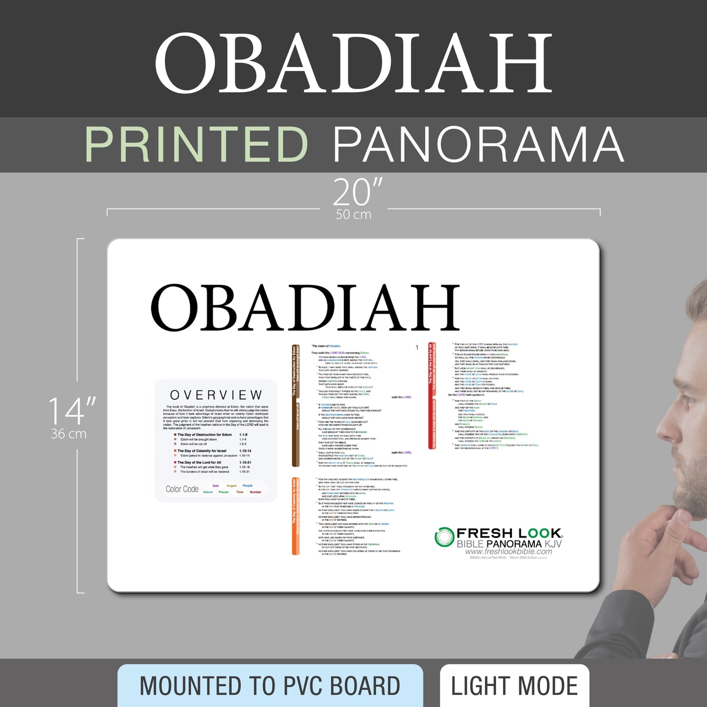 Obadiah Panorama PVC