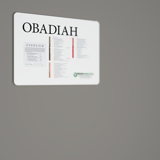 Fresh Look Bible - Obadiah Panorama - Light Mode