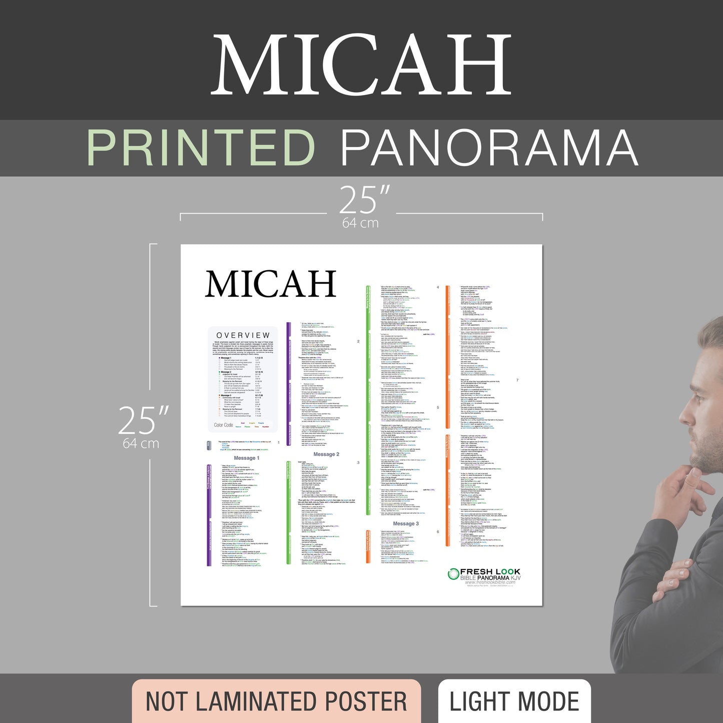 Micah Panorama Not Laminated