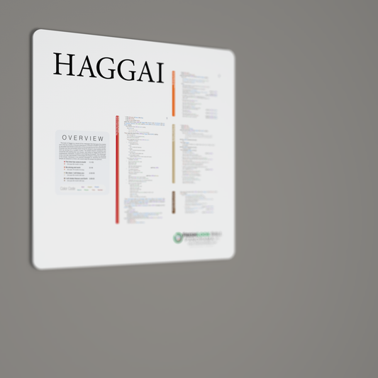 Fresh Look Bible - Haggai Panorama - Light Mode