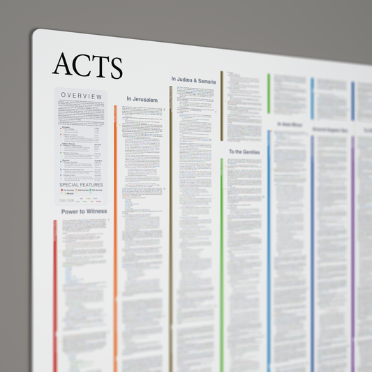 Fresh Look Bible - Acts Panorama - Light Mode