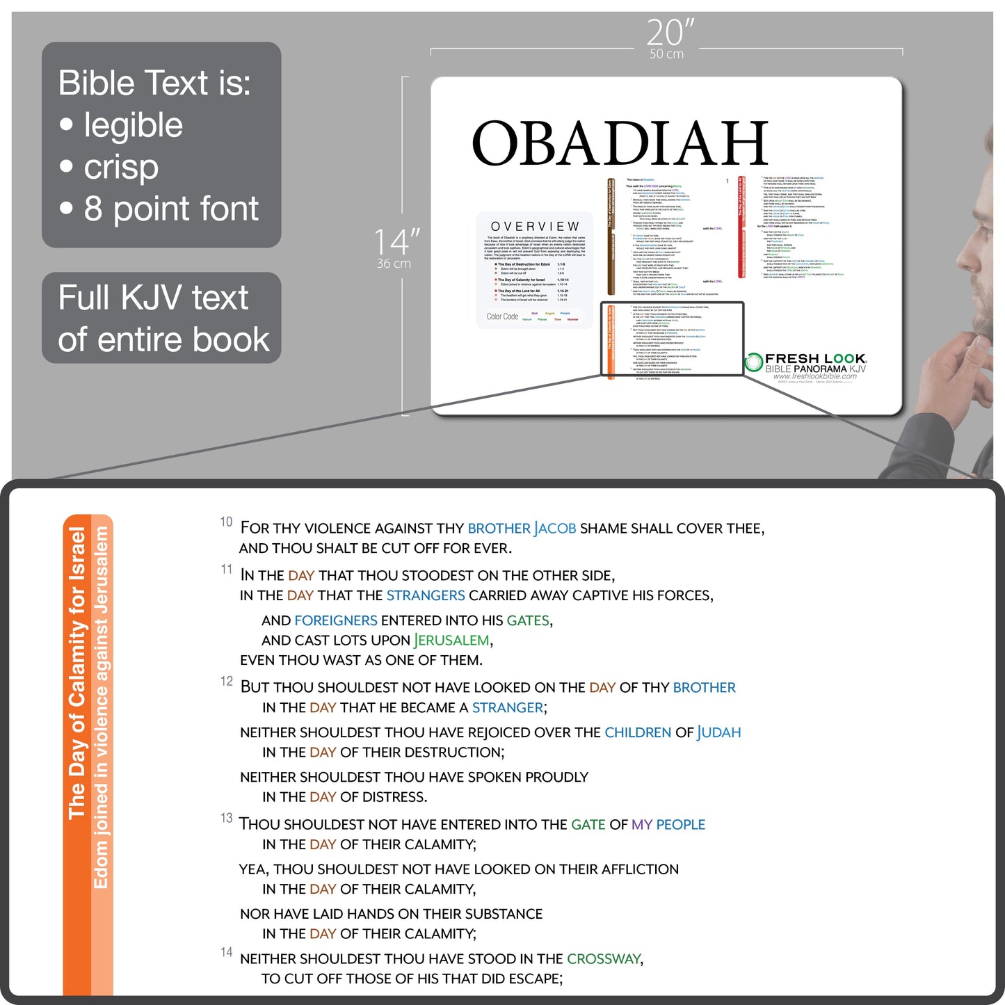 Obadiah Panorama PVC