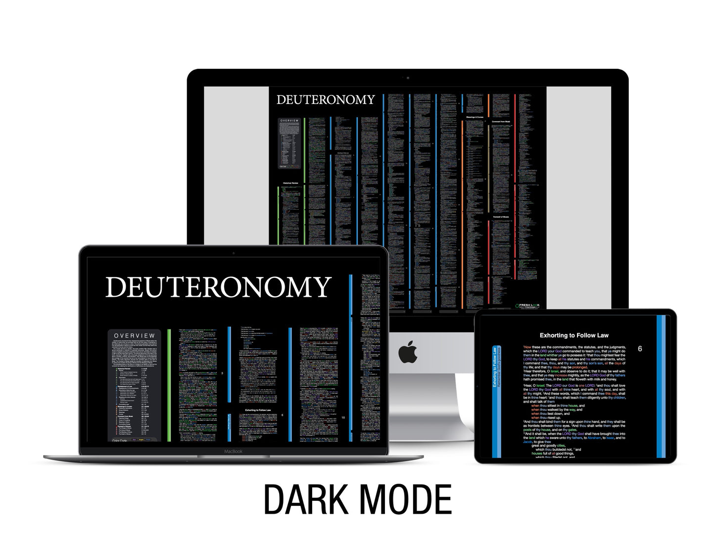 Deuteronomy Panorama PDF