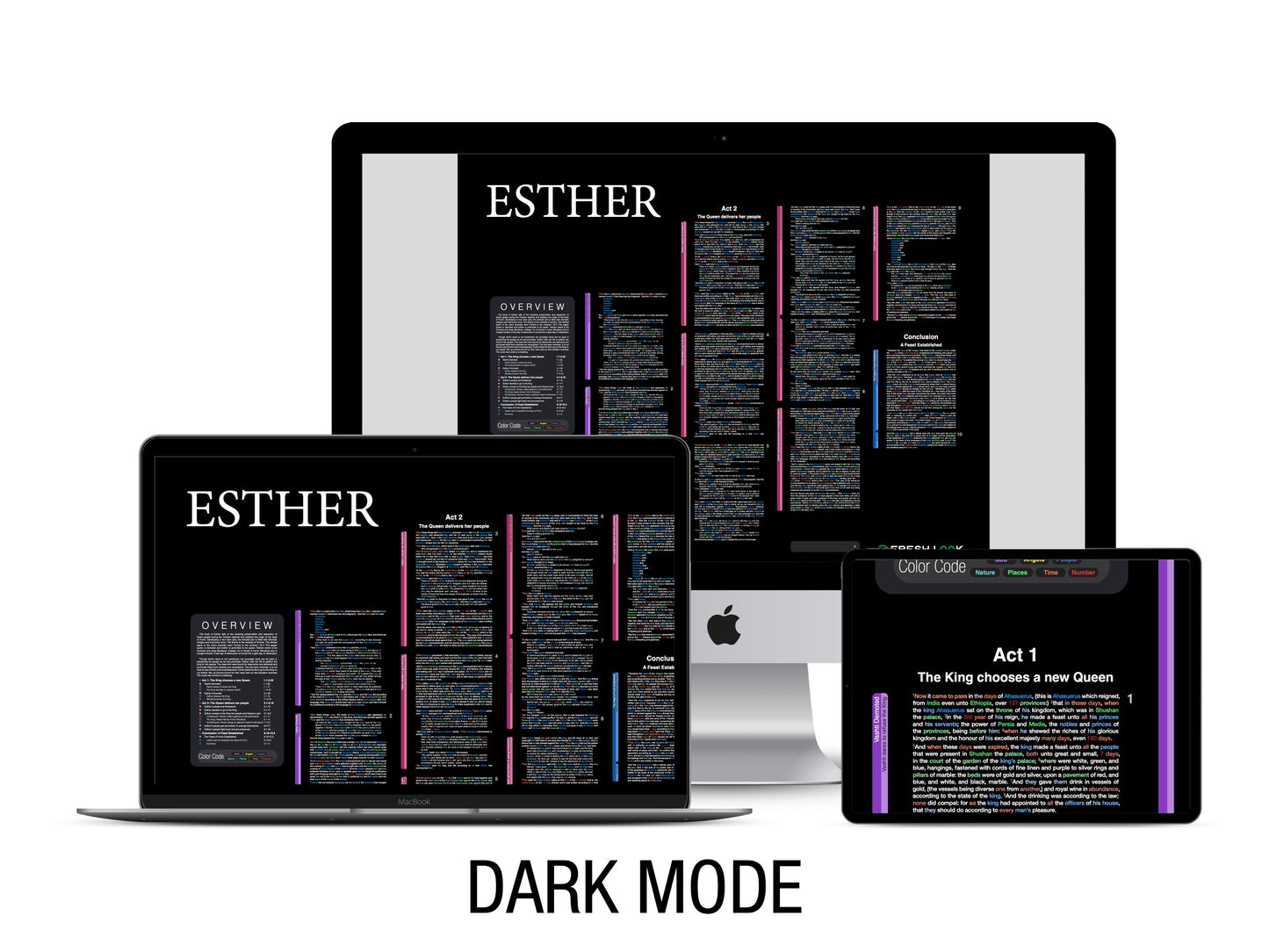 Esther Panorama PDF