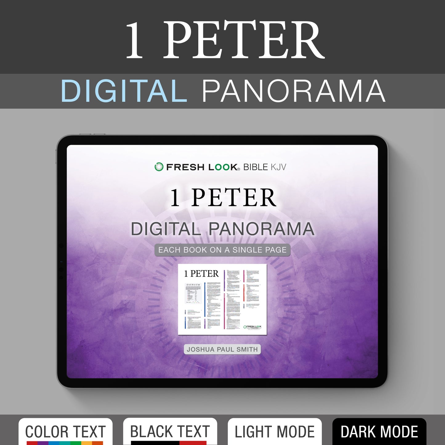 1 Peter Panorama PDF