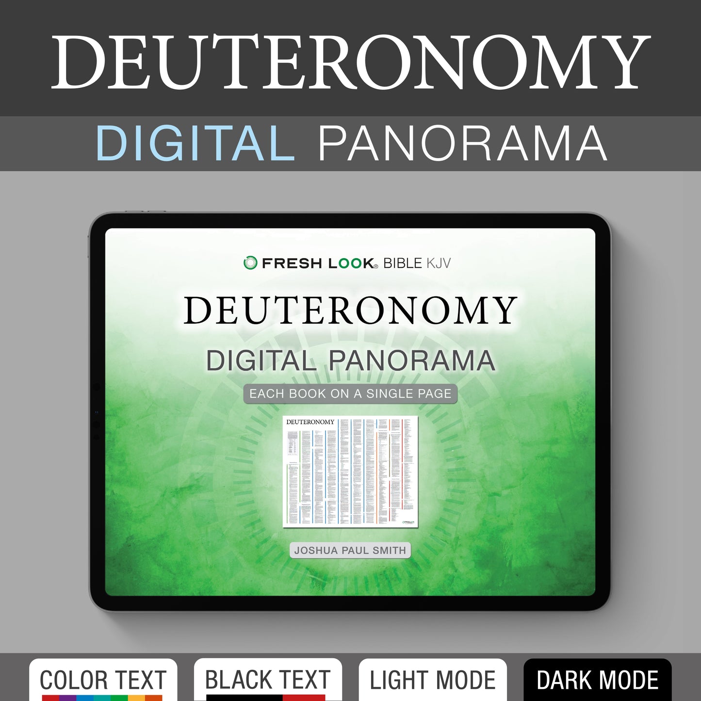 Deuteronomy Panorama PDF