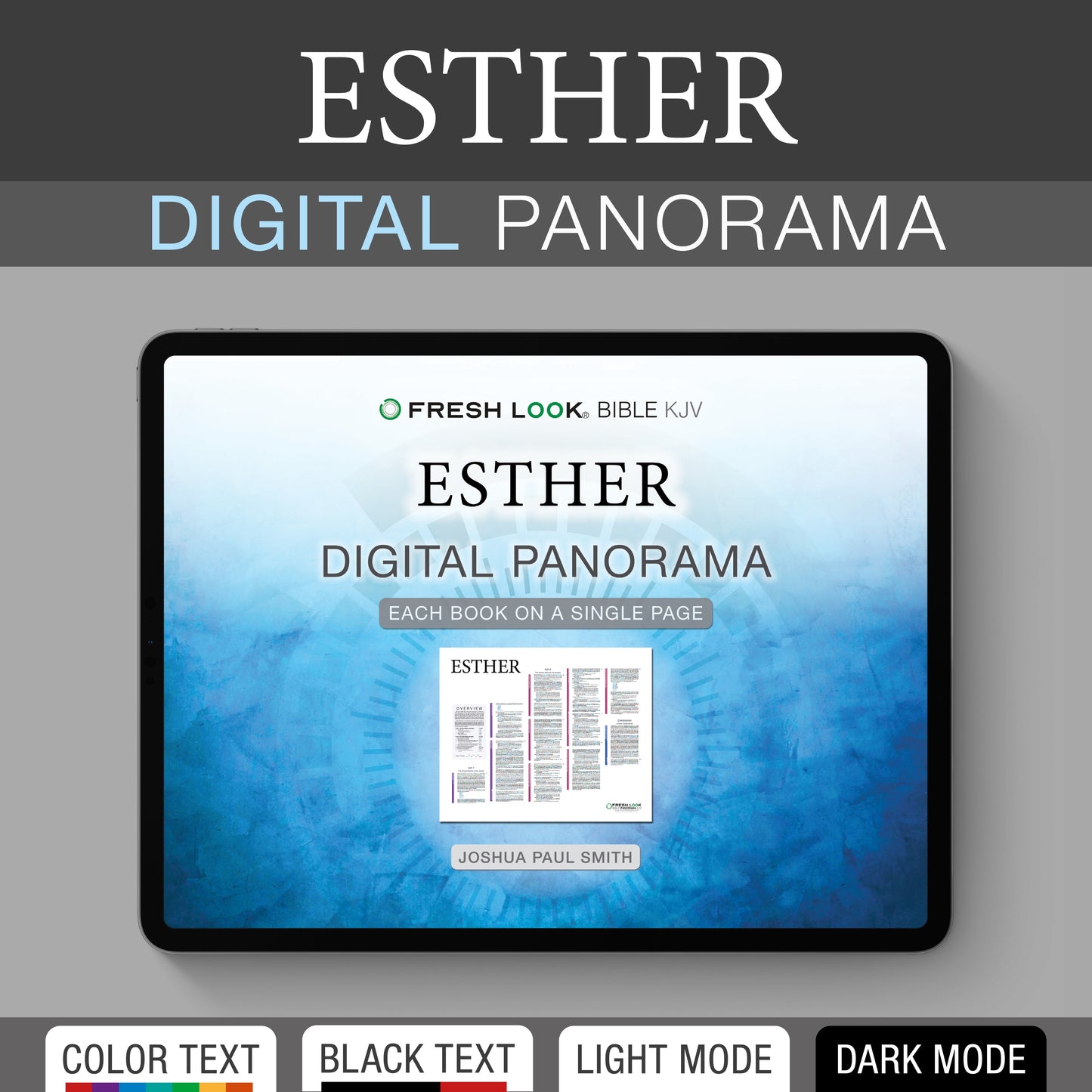 Esther Panorama PDF