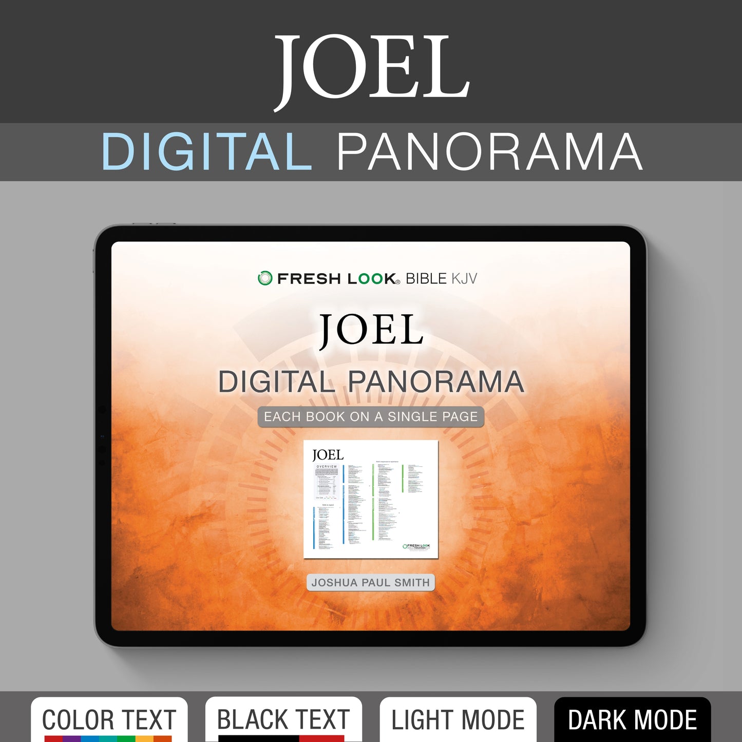 Joel Panorama PDF