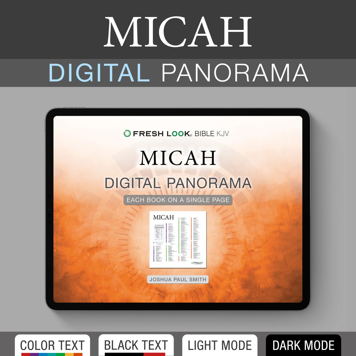 Micah Panorama PDF