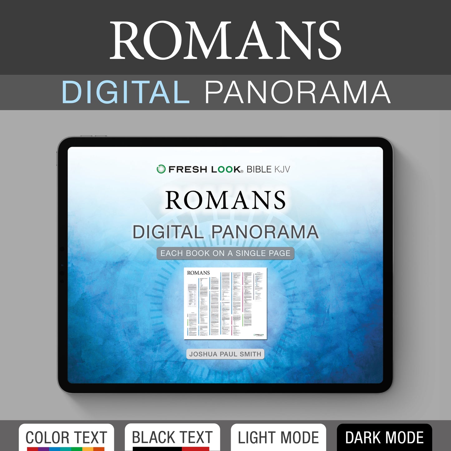 Romans Panorama PDF