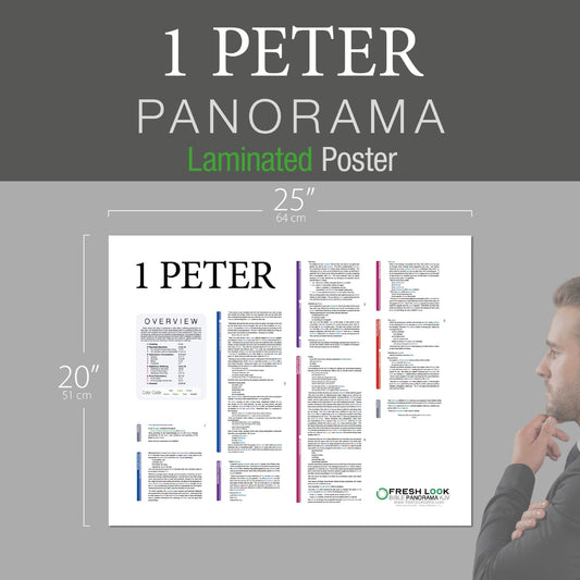 1 Peter Panorama Laminated