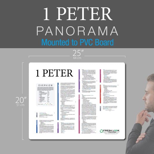 1 Peter Panorama PVC