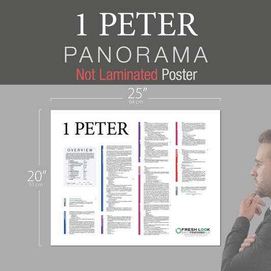 1 Peter Panorama Not Laminated