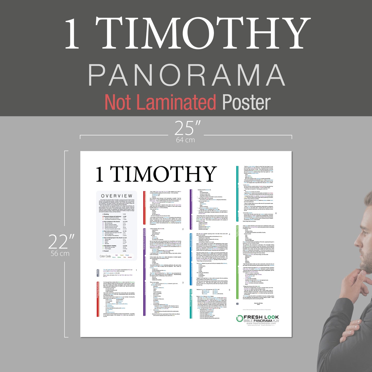 1 Timothy Panorama Not Laminated