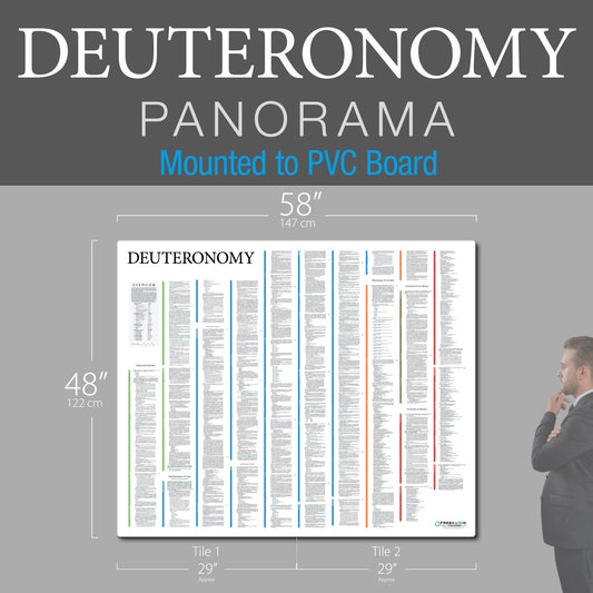 Deuteronomy Panorama PVC