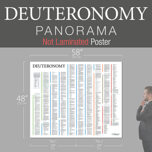 Deuteronomy Panorama Not Laminated