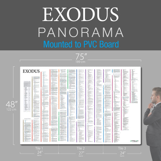 Exodus Panorama PVC