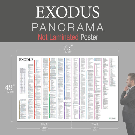 Exodus Panorama Not Laminated