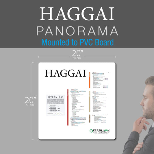 Haggai Panorama PVC