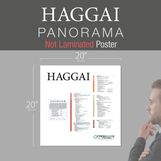 Haggai Panorama Not Laminated