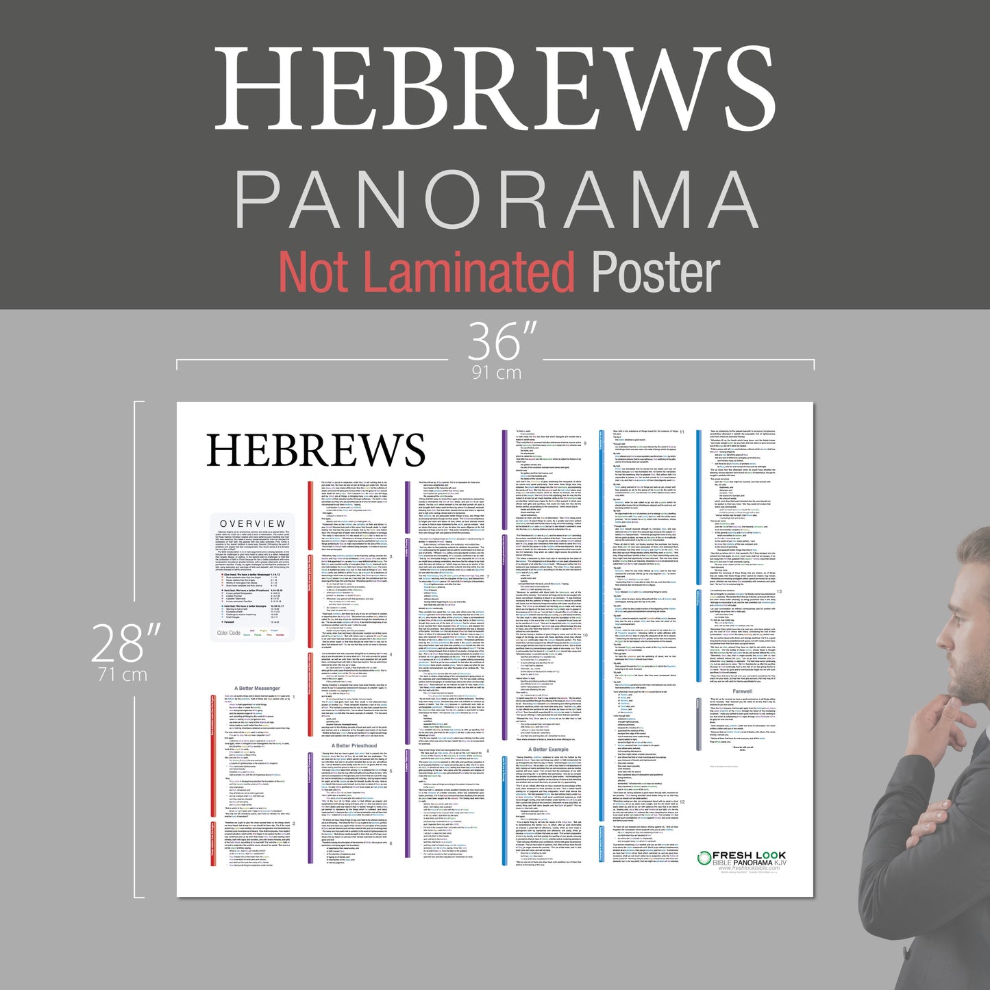 Hebrews Panorama Not Laminated