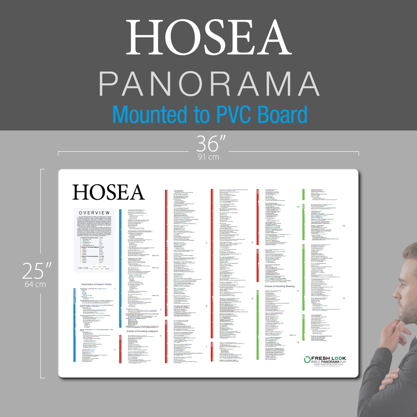 Hosea Panorama PVC