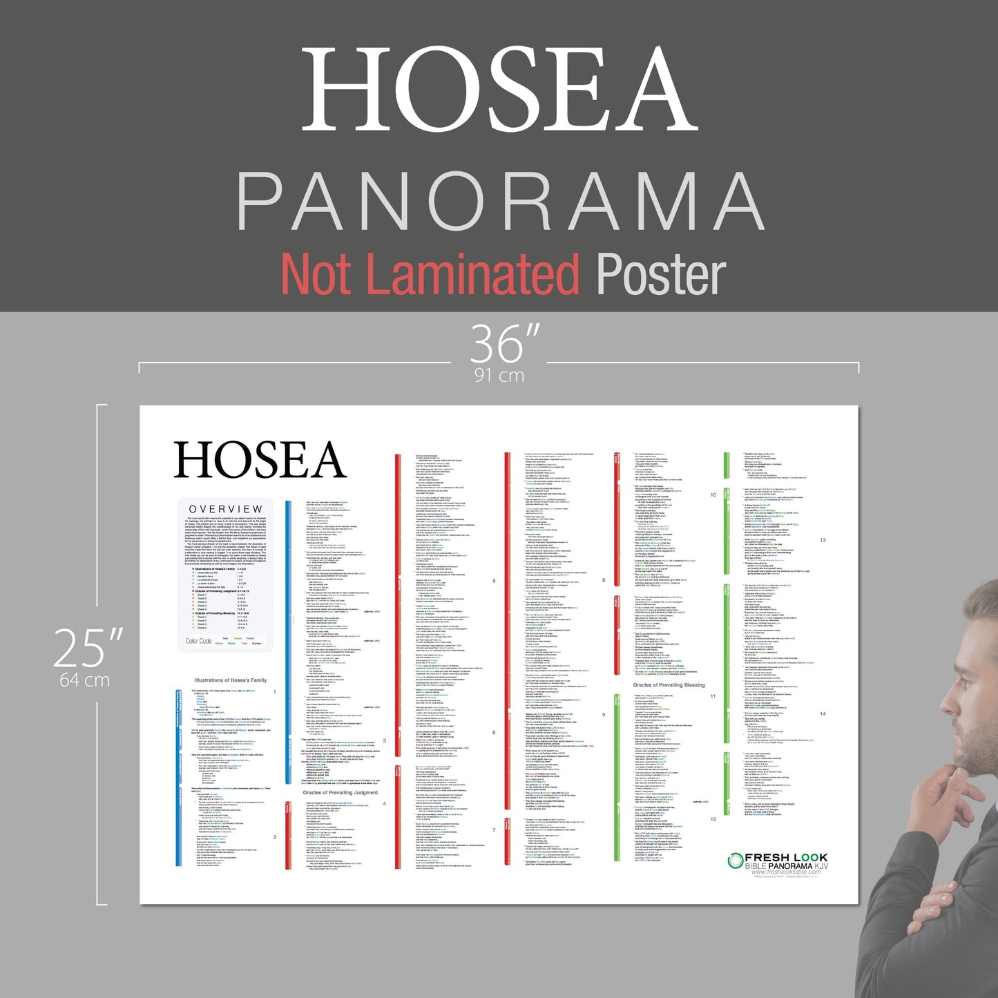 Hosea Panorama Not Laminated