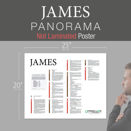 James Panorama Not Laminated