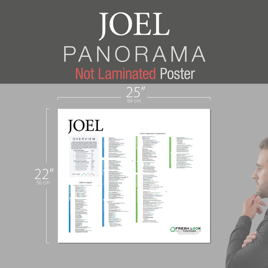 Joel Panorama Not Laminated