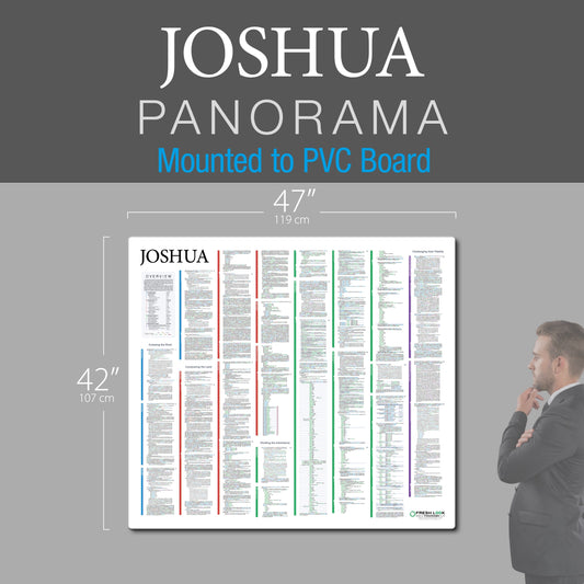 Joshua Panorama PVC