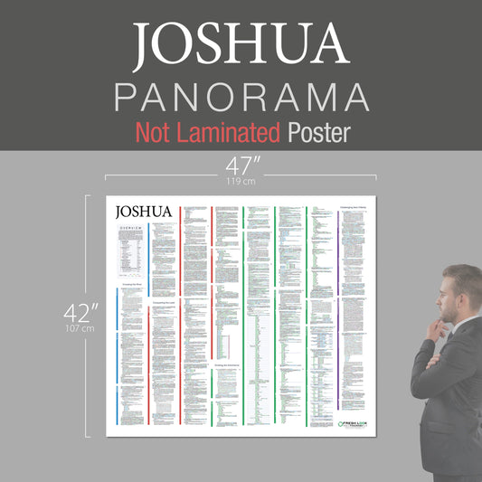 Joshua Panorama Not Laminated