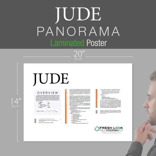 Jude Panorama Laminated